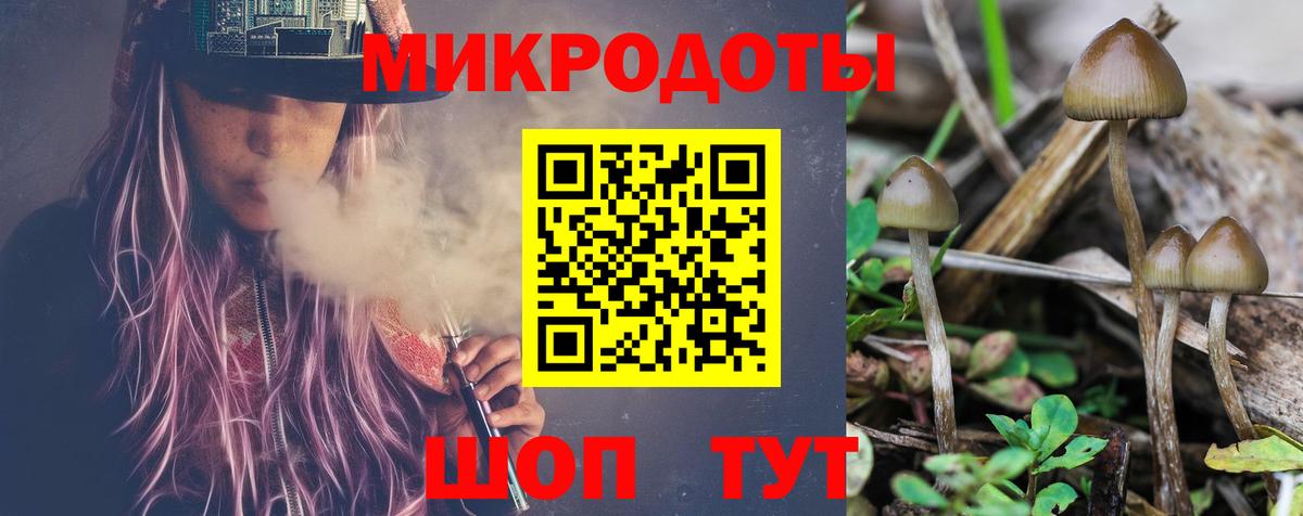 Галлюциногенные грибы GOLDEN TEACHER  Вход с VPN  Озёрск 